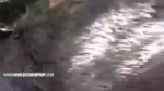 жрать личинки опарыши.mp4