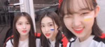 1634192017953.webm