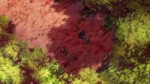 vlcsnap-2025-08-02-00h03m39s417.jpg