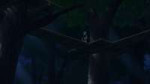 vlcsnap-2025-08-02-00h13m32s799.jpg
