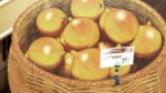 vlcsnap-2025-08-02-03h04m29s302.jpg