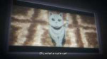 vlcsnap-2025-08-11-01h45m23s615.jpg