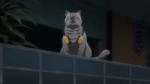 vlcsnap-2025-08-11-01h55m43s319.jpg