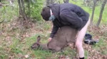 шика лока трахает оленя.mp4