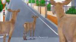 videoframe218393.png