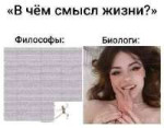 1689497088461.jpg