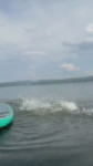 IMG0029.MOV