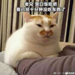 17557260978550.png
