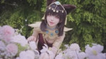 かわいい猫ちゃんを拒める人なんているの？ #egypt #egypttrend #cosplay #dance#六二二同学.mkv