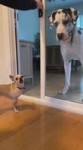 17688073004340.webm