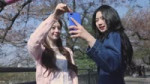 [EP.14] 봄맞이 사진 스팟 추천🌸 ｜ 뭐하세영🤔💡 [bbNnZho7FaY].webm