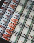 Iroha (5).webp