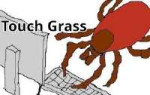 .png