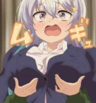 .jpg