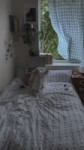 17784319843030408230.mp4