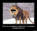 ieprd2hjlg.jpg