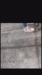 1784539000460.mp4