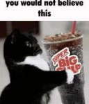 5285175107519191697.jpg