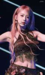 Sakura (15).jpg