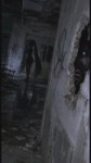 1784652916408.mp4