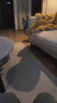17860108088531866434.mp4