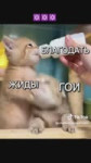 17859704849120450366.mp4