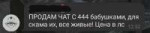 изображение.png