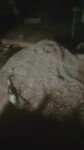 17578307717450.mp4
