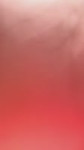 Momo (9).mp4
