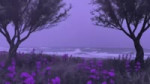 mxnimike 2025-11-02 7568184698778701064 Dark Beach 💜 (one of my fav vids 3)  #pmghxst #fyp #nightcore #pastelghost #darkbeach #viral #xybca #darkvibes.mp4
