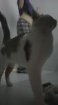 7694964602110479623.mp4