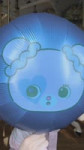 Momo (2).mp4