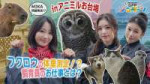 【GPPインターン】フクロウ🦉の体重測定！？飼育員のお仕事とは？🐾.webp