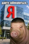 17917134937430110095.png