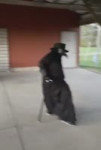 17910225047653862683.webm