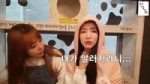 구구단) 떼껄룩 마스터가 되는법 (하나, 해빈, 고양이).mp4