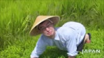 WELCOME TO THE RICE FIELDS MOTHERFUCKER.mp4