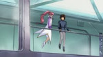 seed ntr.webm