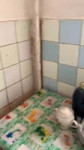 тараканчики.webm