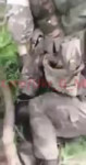 16528854910060.mp4