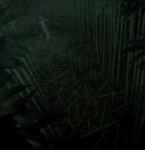 vlcsnap-2022-05-19-02h20m42s022stitch.jpg