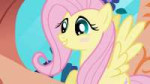 [M-KV2501] My Little Pony FiM 1x03 [WebDL] [1080p].mkvsnaps[...].jpg