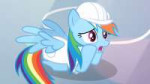 [M-KV2501] My Little Pony FiM 1x16 [WebDL] [1080p].mkvsnaps[...].jpg