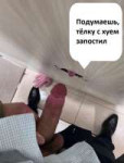 тупёха.png