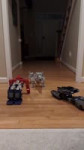 Pro Amra - Robosen and Hasbro Pulse! Huge thanks to Robosen.webm