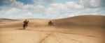 furiosa.a.mad.max.saga.2024.2160p.web.h265-furiousmax.webm