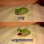 시발-씨발!!.jpg