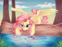 Fluttershy-mane-6-my-little-pony-фэндомы-3907362.jpeg