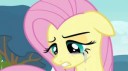 Fluttershycrying3S2E22