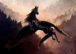 blackpegasusbyskyefyre-d4ii65l